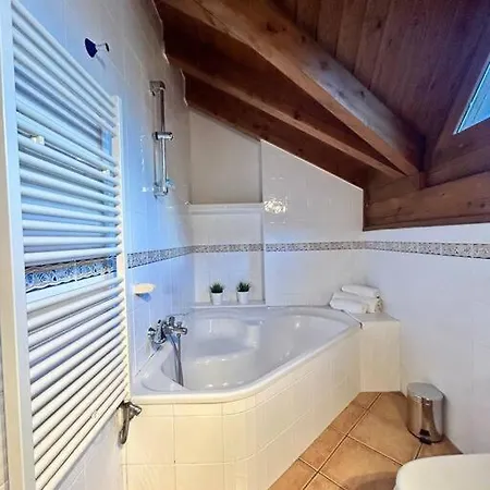 L'allotjament Rustic D'ainet Διαμέρισμα Ribera de Cardós